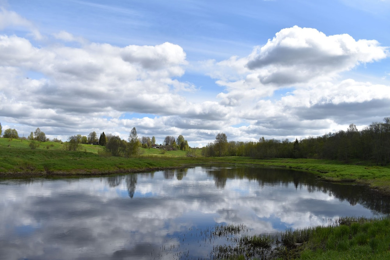 вид на Добрецы